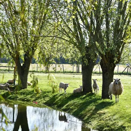 In By The Apartamento *